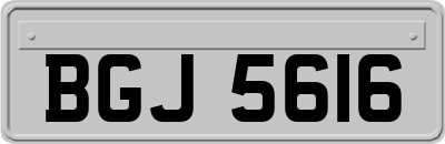 BGJ5616