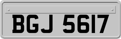 BGJ5617