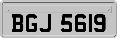 BGJ5619