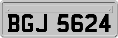 BGJ5624