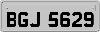 BGJ5629