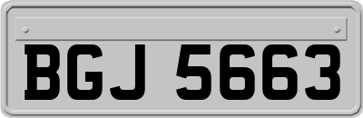 BGJ5663