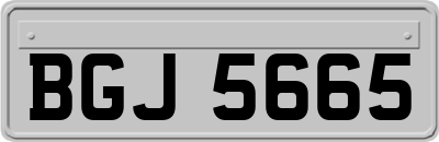BGJ5665
