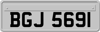 BGJ5691