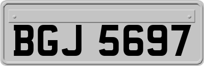 BGJ5697