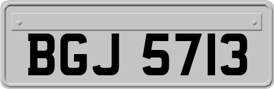 BGJ5713