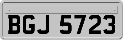 BGJ5723