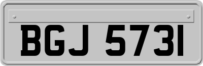 BGJ5731