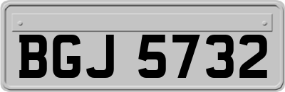 BGJ5732