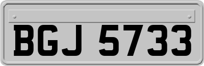 BGJ5733