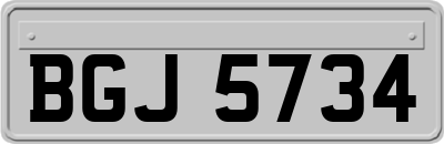 BGJ5734