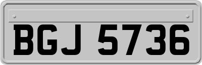 BGJ5736