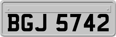 BGJ5742