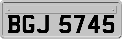 BGJ5745