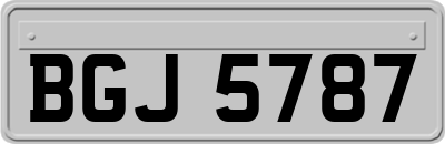 BGJ5787