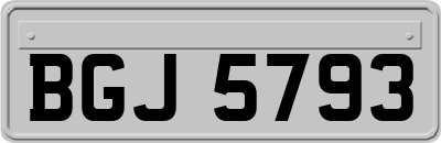 BGJ5793