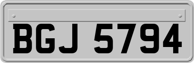 BGJ5794