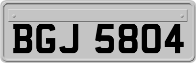BGJ5804