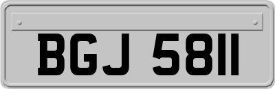 BGJ5811