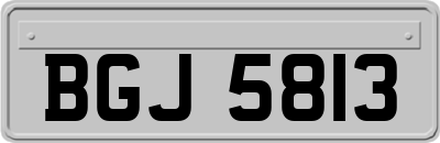 BGJ5813