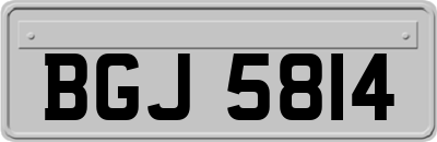 BGJ5814