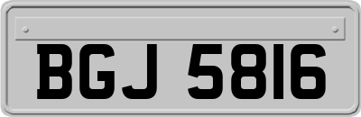 BGJ5816