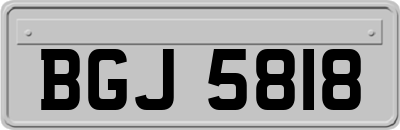 BGJ5818