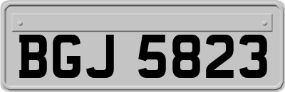 BGJ5823