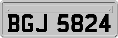 BGJ5824