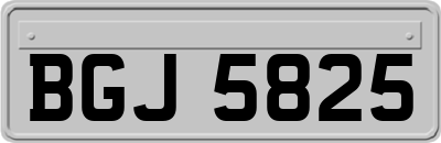 BGJ5825