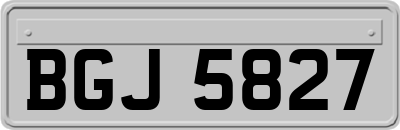 BGJ5827