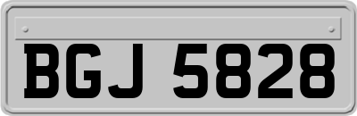 BGJ5828