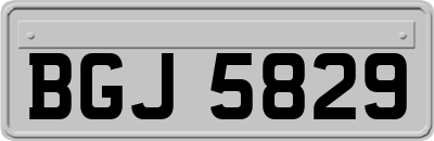 BGJ5829