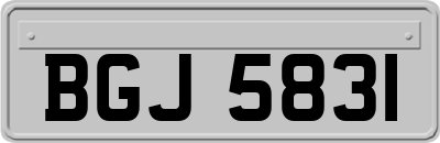 BGJ5831