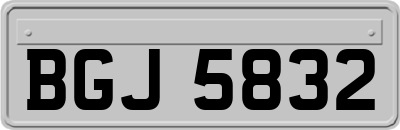 BGJ5832