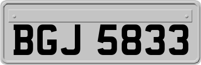 BGJ5833