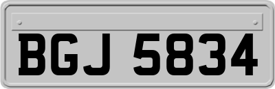 BGJ5834