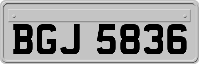 BGJ5836