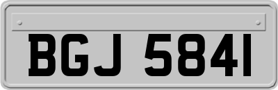 BGJ5841