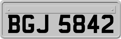 BGJ5842