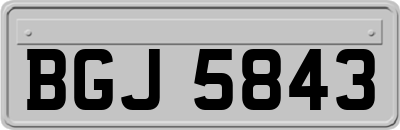 BGJ5843