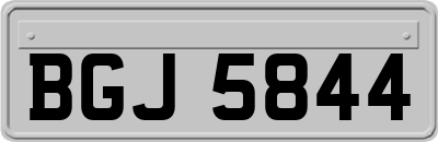 BGJ5844