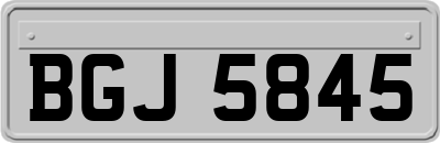 BGJ5845