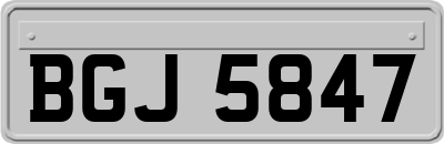BGJ5847