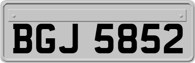BGJ5852
