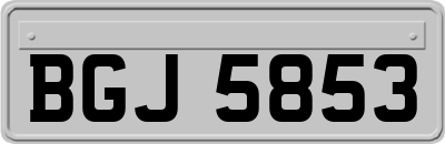 BGJ5853