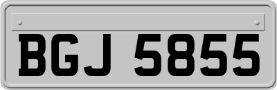 BGJ5855