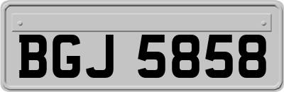BGJ5858