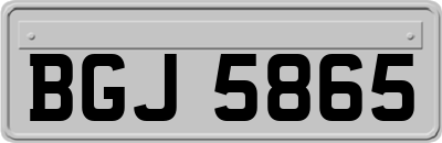 BGJ5865