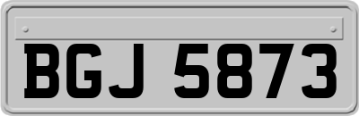 BGJ5873